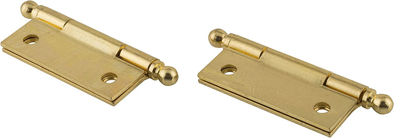 Medium Polished Brass Butt Hinges with Ball Finials | 1 15/16" High x 1 5/8" Wide | Pack of 2