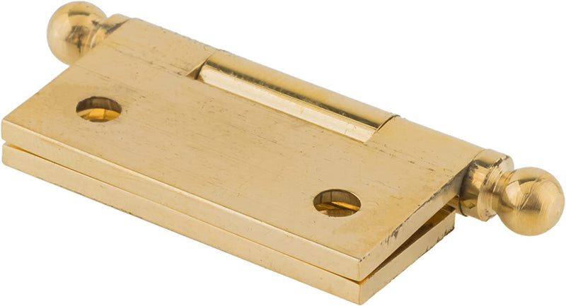 Small Polished Brass Heavy Ball Tipped Butt Hinge | 1 1/2" High x 1 1/2" Wide
