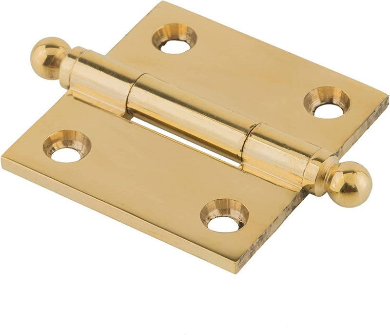 Small Polished Brass Heavy Ball Tipped Butt Hinge | 1 1/2" High x 1 1/2" Wide