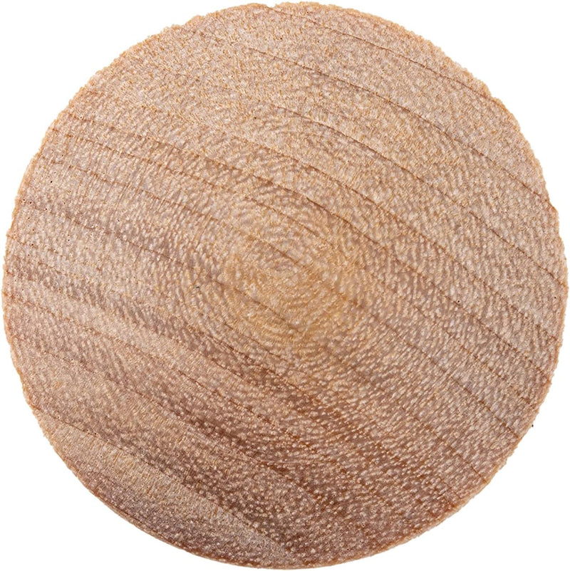 Mushroom Birch Screw Hole Button Plugs | 3/4" Diameter | Pack of 50 Approx. | Wood Turned End Grain Round Mushroom Head with Shoulders